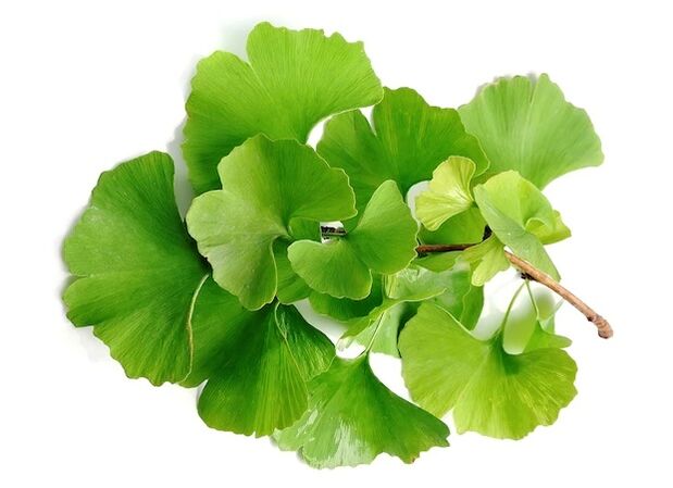 Gluconol contiene Ginkgo biloba